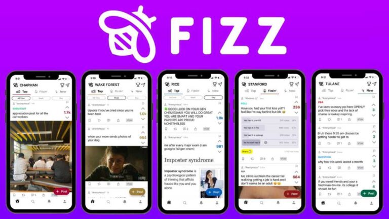 Fizz Image 1.jpg