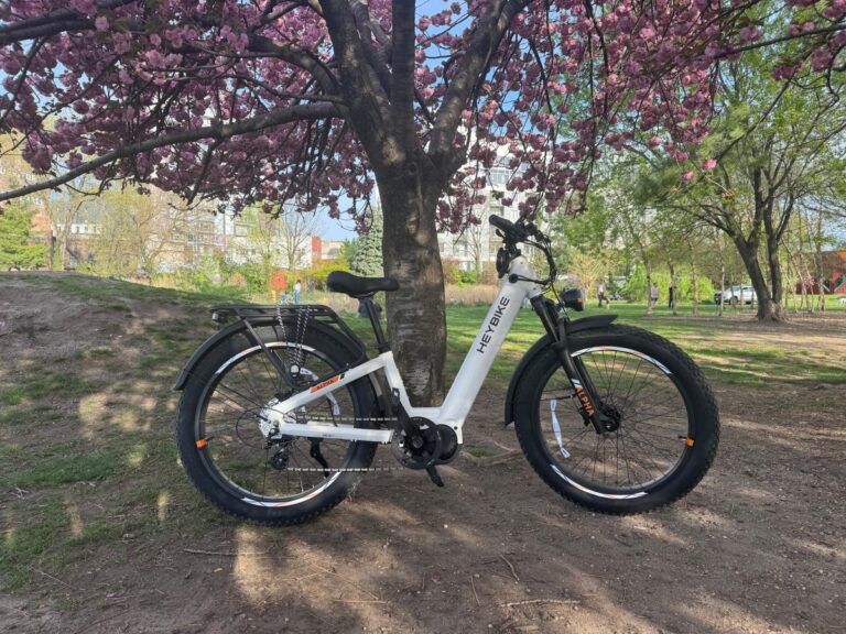 Heybike Alpha .jpg